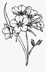 Ada motif daun dan motif lain yang harus dibuat dengan ketelitian tinggi agar hasilnya sempurna. 49 Gambar Sketsa Bunga Matahari Mawar Tulip Sederhana