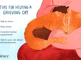 Current evidence doesn't show a reason for cats developing this type of cancer though we do know it's more common in larger and giant breed cats. Helping Cats Cope With Loss Of Other Pets