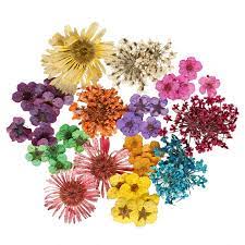 4 displaying preserved flowers in a jar. Endless Summer Dry And Preserve Your Flowers Palace Florists