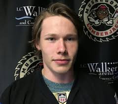 Most recently in the echl with indy fuel. Hakkarainen Is Back To Lend Some Offensive Punch To Shorthanded Lumberjack Lineup Local Sports Journal