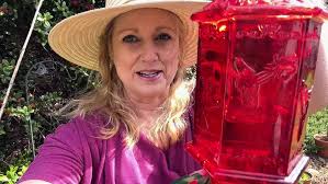 The great hummingbird migration is underway in North Carolina