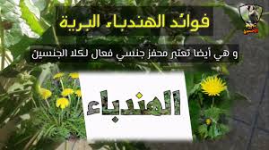وتخفف من الآلام التي تصاحب حصى الكلى، يمكن غلي ملعقة كبير من جذور الهندباء المطحونة في كوب من المياه ثم يُصفى ويُشرب. ØªÙ‚Ø¯ÙŠÙ… Ù†Ø¨Ø§Øª Ø§Ù„Ù‡Ù†Ø¯Ø¨Ø§Ø¡ Ø§Ù„Ø¨Ø±ÙŠØ© Ù„Ù„Ø­Ø³ÙˆÙ† Ù…Ø¹Ù„ÙˆÙ…Ø© Ten