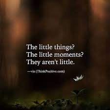Little Things Little Moments Positive Quotes Moments Quotes Inspirational Quotes
