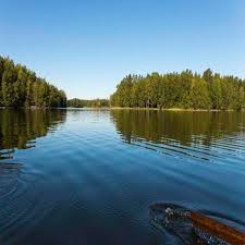 View 1147 homes for sale in smith mountain lake, va at a median listing price of $275,000. Amazing Smith Mountain Lake Views Step Private Shoreline Rv Lot For Sale 1269373