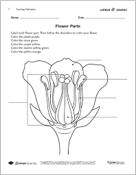 Download Free Common Core Based Lesson Plans And Worksheets For Our First Step Nonfiction Pollination Ser Pollination Lessons Plant Science Parts Of A Flower