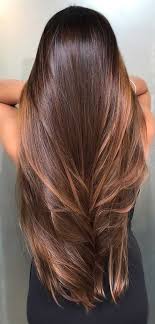 Or if you're blonde and thinking of going brunette, you need to see these brunette vs blonde pics. Fresh Hair Color Ideas In 2020 Natural Looking Brunette Balayage