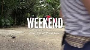 They go beyond the call of duty. Weekend At Animal Resort T81 Seletar West Farmway 5 Imovie Youtube