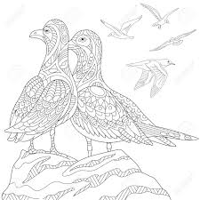 This seagulls coloring pages will helps kids to focus while developing creativity, motor skills and color recognition. Stylized Seagulls Flock Of Marine Birds Freehand Sketch For Adult Anti Stress Coloring Book Page With Doodle And Zentangle Elements Royalty Free Cliparts Vectors And Stock Illustration Image 66648270