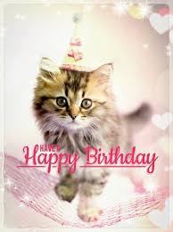 Happy Birthday Cat Meme Hd Happy Birthday Cat Happy Birthday Photos Happy Birthday Kitten