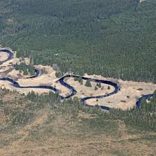 Canon EOS 5DS R + Canon EF 70-200mm F4L IS USM sample photos