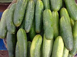 13 Utilisations Du Concombre Qui Vont Vous Surprendre Sante Nutrition Cucumbers Growing Cucumbers Cucumber