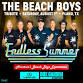 Endless Summer - Beach Boys Tribute