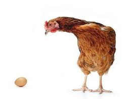 Finally Somebody Solved It The Egg Came First Nutrition Health And Wellbeing Health