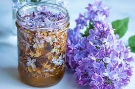Lilac Flower Infused Honey Recipe Wild Food Foraging Honey Recipes Flower Food