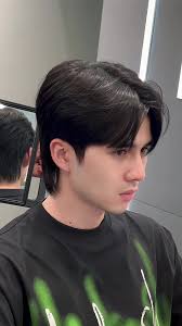 Mullet Mit Langem Mittelscheitel