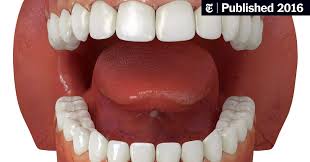 Baking soda according to mothernature.com, the good old baking soda can also help you remove the plaque from your teeth. Surprisingly Little Evidence For The Accepted Wisdom About Teeth The New York Times
