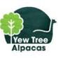 Alpaca Walks & Experiences - Yew Tree Alpacas