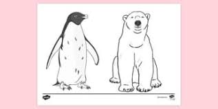 These can be colors from the red family or green family, for example. What Are Arctic Animals Arctic Animals For Kids