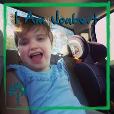 Joubert Syndrome & Related Disorders Foundation