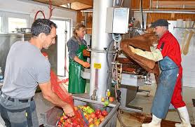 90.000 stichwörter und wendungen sowie 120.000 inflections of 'mosterei' (nf): Schramberg Mit Der Ernte Noch Etwas Warten Schramberg Umgebung Schwarzwalder Bote