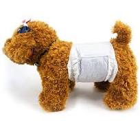 OEM ODM Dog Diapers for Heat Wholesale Cotton Urination Degradable  Disposable Eco Keep Comfortable