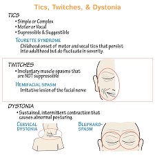 Pin By Draw It To Know It Medical On Https Drawittoknowit Com Facial Nerve Nursing Notes Mcat Study