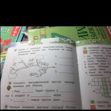 5 6 Pliz Nado Srochno Shkolnye Znaniya Com