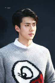 The best gifs are on giphy. Relationship Between Exo S Sehun And Miranda Kerr Byeol Korea
