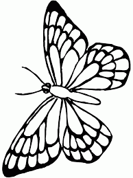 Animal coloring pages for kids. Monarch Coloring Page Coloring Home