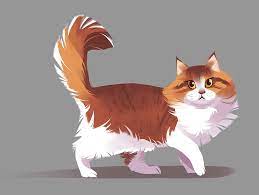 Meek In The Sheets But A Freak On The Streets Day One Of Animal February A Norwegian Forest Cat Cat Drawing Cats Illustration Cat Illustration
