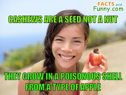 We did not find results for: Fact About Cashew Nut And Seed