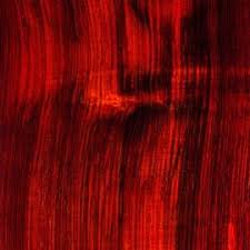 Image result for Berchemia zeyheri