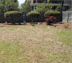 There are a number of different reasons that the grass in a lawn may die, and it can be frustratingly difficult to determine the cause. Repairing Centipede Lawns Damaged By Cold Other Culprits News Topsail Advertiser Jacksonville Nc