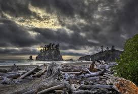 We did not find results for: Ip Wa Third Beach Olympic Shadows Dancing Fine Art Photography And Poetry