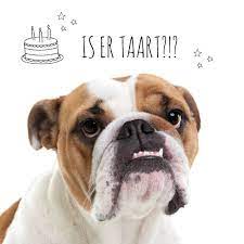 Dieren Verjaardagskaart Bulldog Hond Kaartje2go