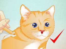 How to draw a cartoon cat face easy. How To Draw A Cat Face 8 Steps With Pictures Wikihow