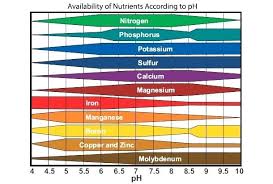 Soil Ph For Vegetables Villastowingservice Com