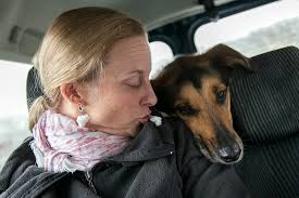 Jülich, linnich, niederzier, aldenhoven, titz, inden. Tiere Suchen Ein Zuhause Der Hintergrundbericht Tierheimladchen