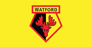 Discover the latest news for watford fc. Watford Logo Vote Results Announced Footy Headlines