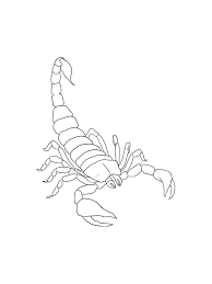 Check spelling or type a new query. Free Scorpio Coloring Pages Download And Print Scorpio Coloring Pages