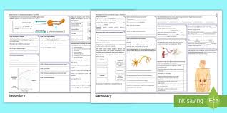 Get gateway b1 test answer key unit 5 pdf file for free on our ebook library practice. Aqa Biology Combined Unit 5 Homeostasis And Response Foundation Revision