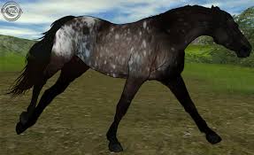 Pin By Aalexis On Star Stable Star Stable Horses Star Stable Horse Drawings