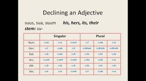Latin For Beginners Lesson 10 First Second Declension Adjectives