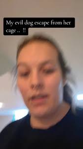 VoiceEffects life with a labrador/pitbull puppy 😮‍💨🙄 #puppydog #fy...