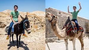 Here you can calculate how many camels your girlfriend or boyfriend is worth. Camel Riding Adventure In The Desert Of Israel Eitan Explores Israel E 3 Youtube
