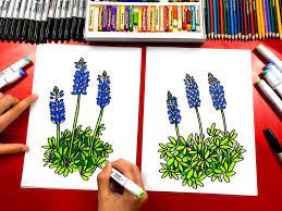 Another free still life for beginners step by step drawing video tutorial. How To Draw A Bluebonnet Flower Texas State Flower Art For Kids Hub