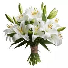 Bouquets de Lys - Livraison Express