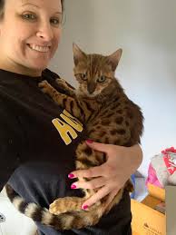 Used tires can contain harmful chemicals