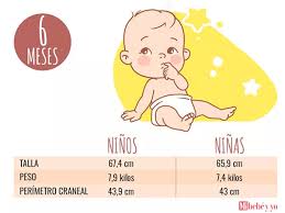Bebe 6 Meses Desarrollo Del Bebe Mes A Mes