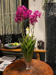 葉織 Haori Flowers 新宿区のお花屋さん エピデンドラム 蘭の花